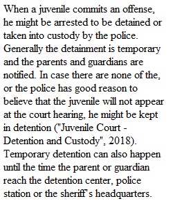 Juvenile Justice System  Wk 2 Dq 7 And 8